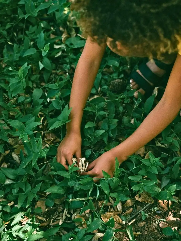 a shot of a kid searching something in the grass