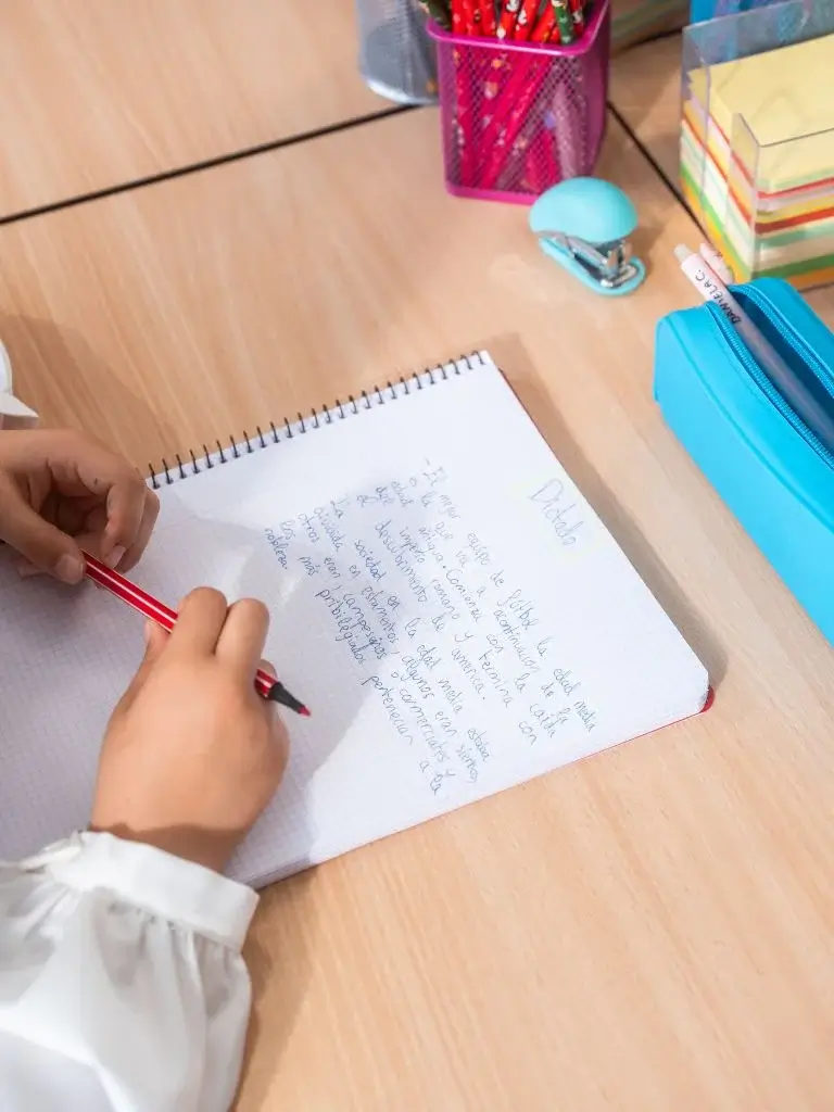 A top shot of a kid writing a journal 