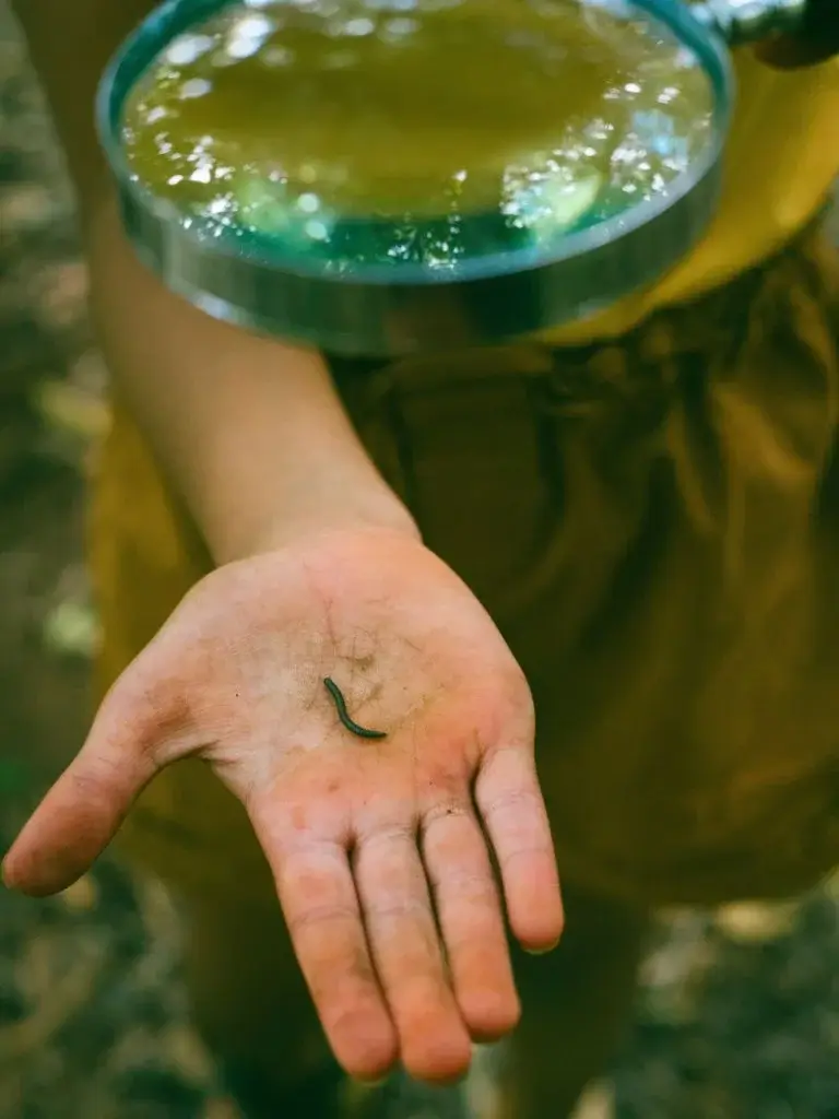 a shot of slightly muddy hands with a small worm on it 